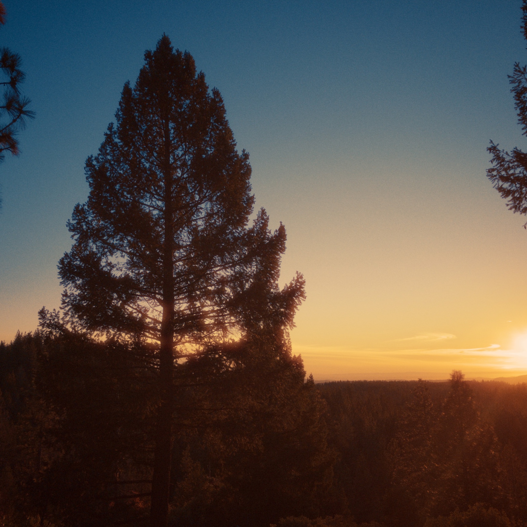 Live stream logo or thumbnail